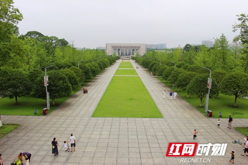 湖南 一建園林杯 園林設計園藝項目職業技能大賽決賽即將舉行
