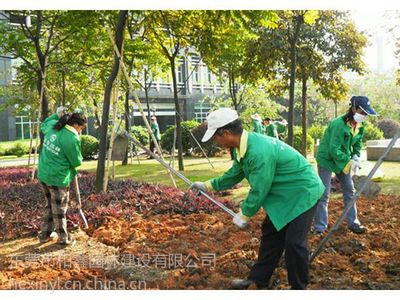 【供應東莞園林綠化養護管理、工業園綠化養護、花草護理圖片】供應東莞園林綠化養護管理、工業園綠化養護、花草護理