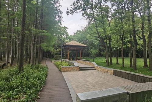 首批 環上 公園開園半年,市民滿意嗎 配套設施夠嗎 今天上海披露了測評結果