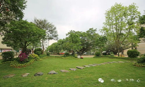 陽春6間學校被評為 創建國家森林城市示范學校