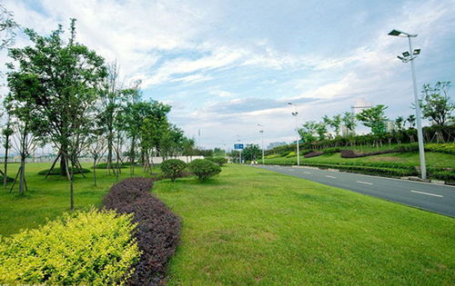 道路綠化種植設計的7大要點