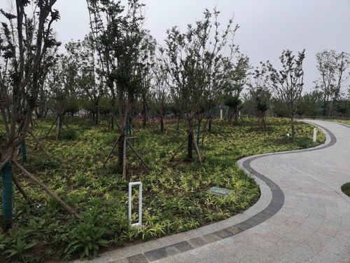 200多公頃 桃花源 背后現(xiàn)港城 科技匠心