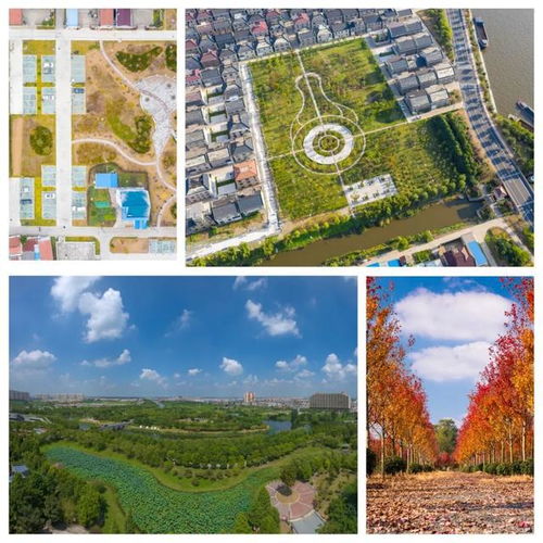海安市城建集團(tuán)董事長(zhǎng)魯?shù)缕綆ш?duì)調(diào)研園林綠化公司