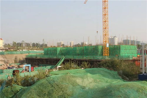 快看看有你們村嗎 日照多個城中村改造安置區最新建設進展